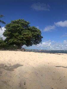 Une plage de la Guadeloupe